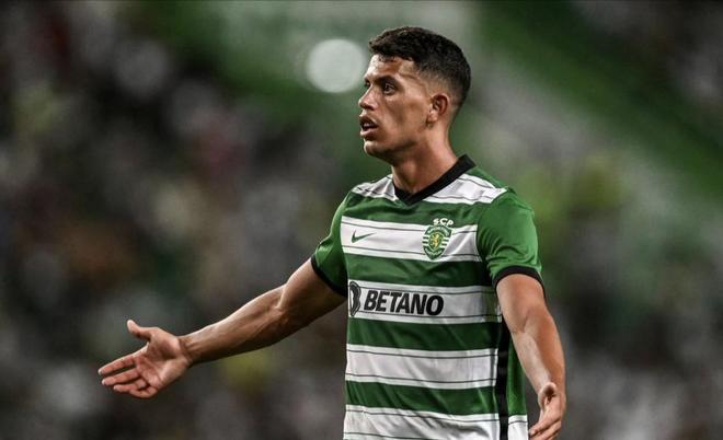 他不仅为球 他不仅为球