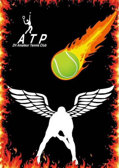 风格鲜明的 风格鲜明的